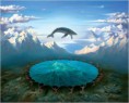 /album/fotogaleria-inicio/bonitasorcas-jpg/